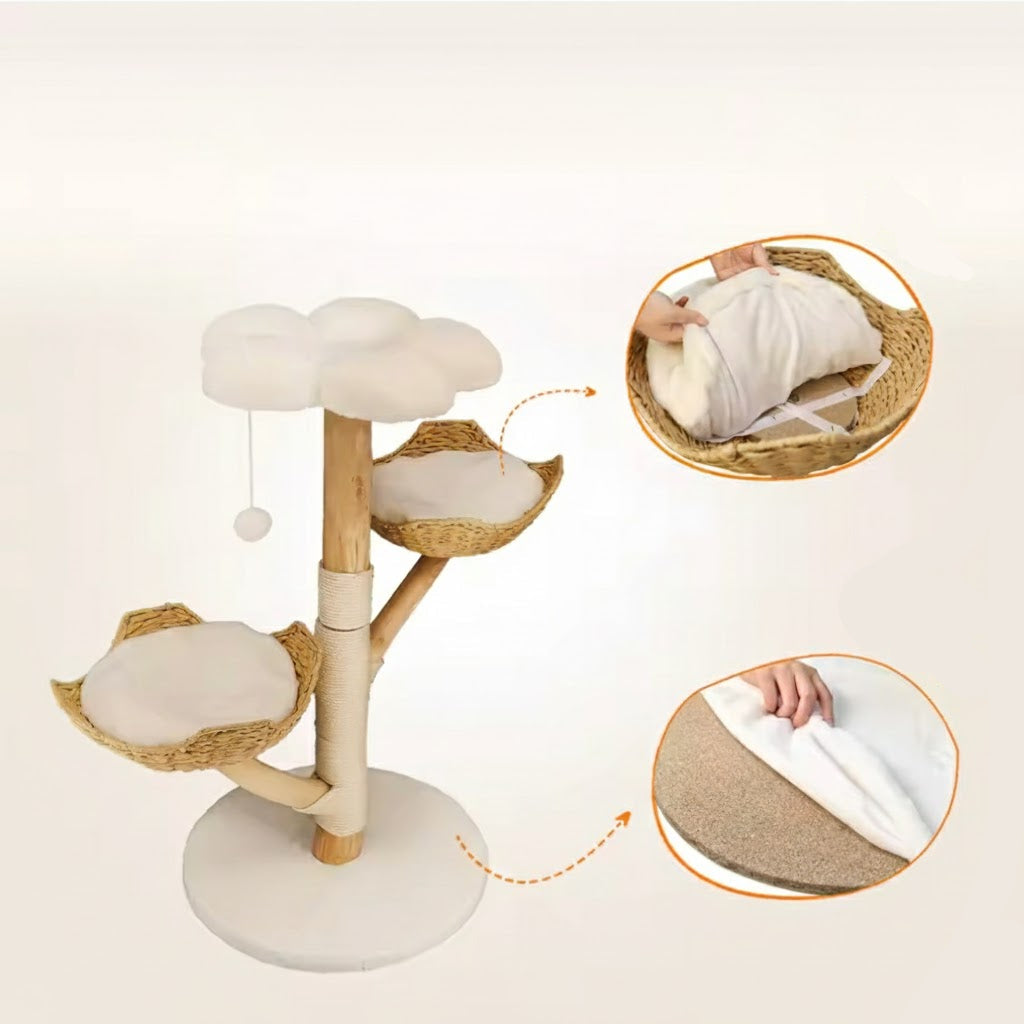 Cousins et textile lavable de l'arbre à chat en bois