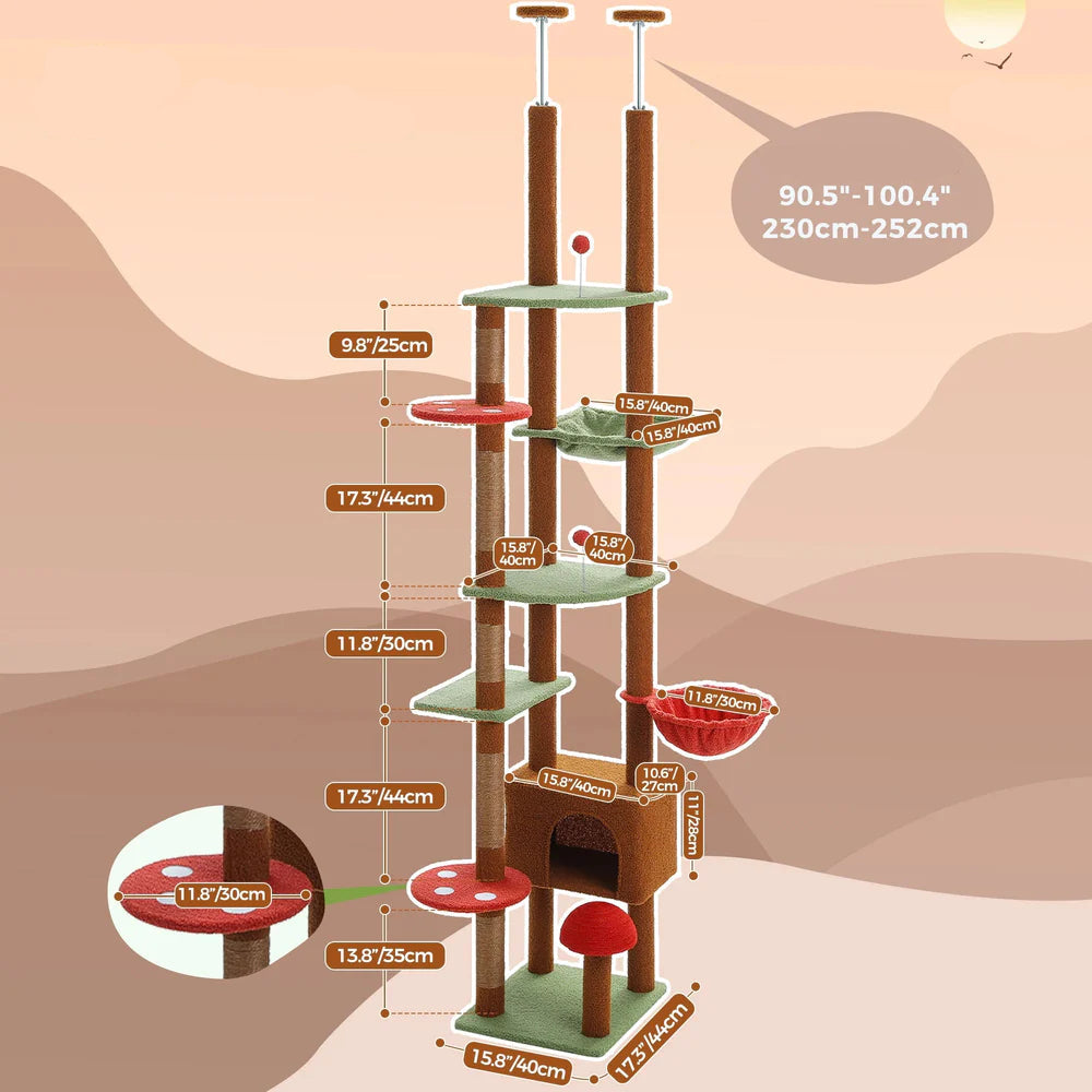 les mesures de l'arbre à chat géant champignon