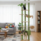 Arbre à chat géant vert dans un salon de maison avec des chats de couleurs différentes